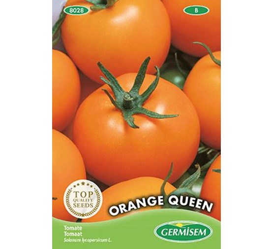 germisem-tomaat-orange-queen
