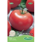 germisem-tomaat-pyros-f1
