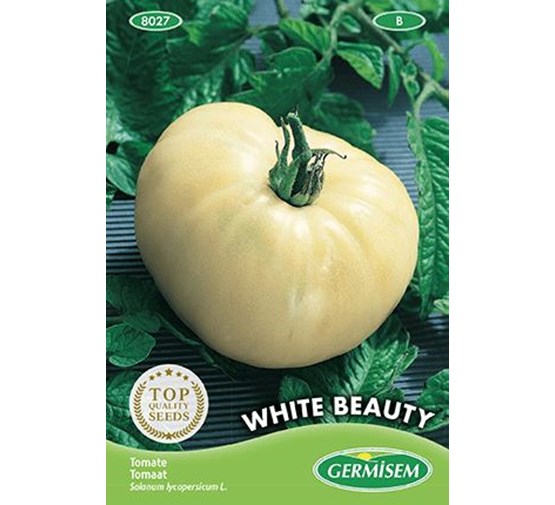 germisem-tomaat-white-beauty