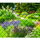 giardino-tennisdraad-geplastificeerd-groen-mazen-50-x-50-x-27mm