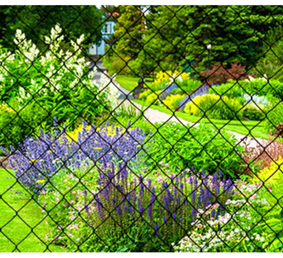 giardino-tennisdraad-geplastificeerd-groen-mazen-50-x-50-x-3mm