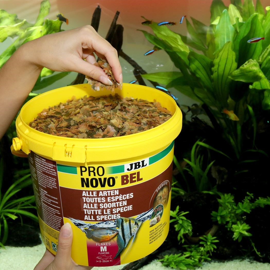 Alimento Para Cíclidos JBL Pronovo Malavi Flakes - Copos Principales, Tamaño M, 1000ml, Para Peces De 8-20cm