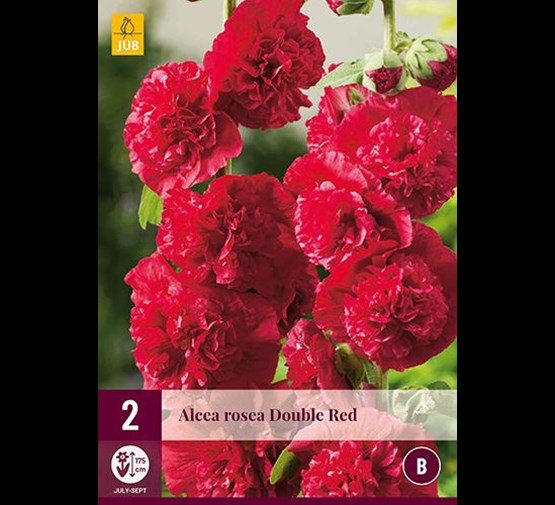 jub-alcea-rosea-chater-s-double-red-2sts-