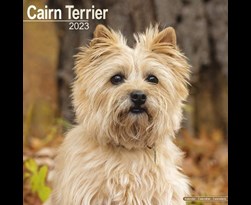 kalender 2023 cairn terriers as