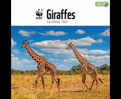 kalender 2023 giraffes wwf crs