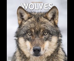 kalender 2023 wolves as