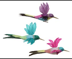 kolibrie veren clip multi