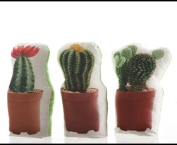 kussen polyester cactus (3ass.)