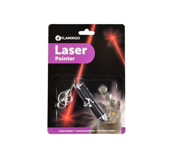 laser-pointer-stip