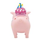 lilalu-biggys-piggy-bank-birthday