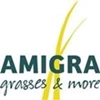 Amigra Grasses & More 