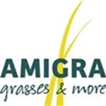 Logo Amigra Grasses & More 