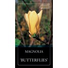magnolia-butterflies-