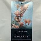 magnolia-heaven-scent-