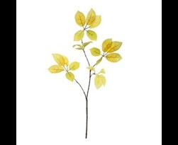 pure royal medium leaf spray yellow