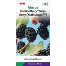 morus-rotundiloba-mojo-berry-