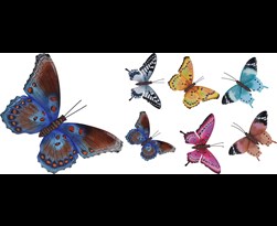 muurdecoratie vlinders (6 kleuren ass.)