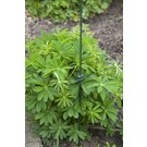 nature-plantensteun-schulprand-45mm-voor-plantenstok-met-verstelbare-clip