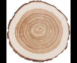 onderzetter karton boom (10 sts)