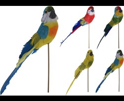 papegaai op stok (4 kleuren ass.)