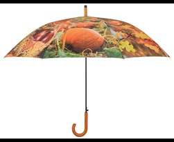 paraplu herfstprint