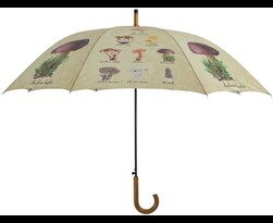 paraplu paddestoelen verzameling