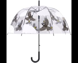 paraplu transparant 2-zijdig vogel