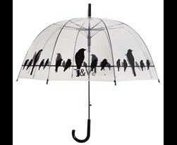 paraplu transparant volgels op draad