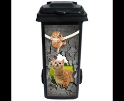pb-collection containersticker breuk katten