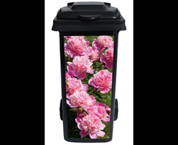 pb-collection containersticker peony light rose