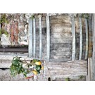 pb-collection-tuinschilderij-barrell