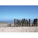 pb-collection-tuinschilderij-beach-wooden-poles