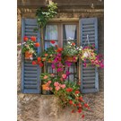 pb-collection-tuinschilderij-blue-shutters