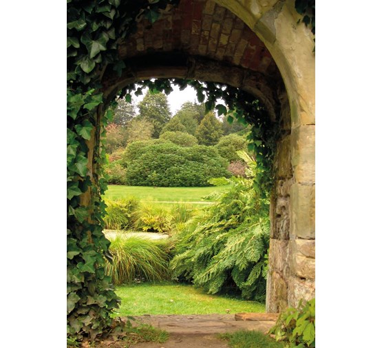 pb-collection-tuinschilderij-garden-view