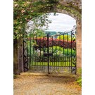 pb-collection-tuinschilderij-garden-view-fence