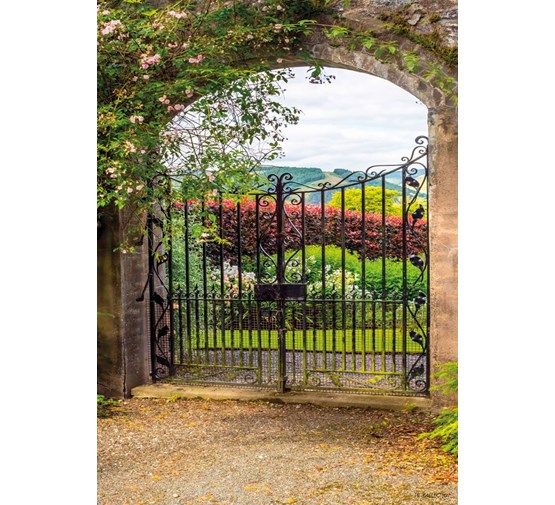 pb-collection-tuinschilderij-garden-view-fence