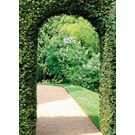 pb-collection-tuinschilderij-garden-view-path