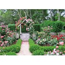 pb-collection-tuinschilderij-rose-garden