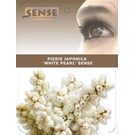 pieris-japonica-white-pearl-