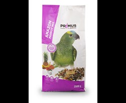 primus amazone papegaaien mix