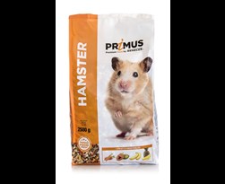 primus hamster