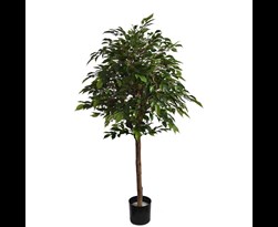 pure royal ficus natasja with 1740 leaves green