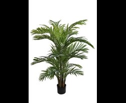 pure royal hawaiian palm w18 leaves green
