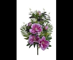 pure royal mixed magnolia bush lavender