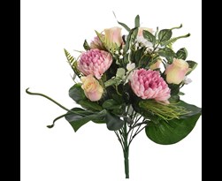 pure royal mum/rose bud x18 bush mauve