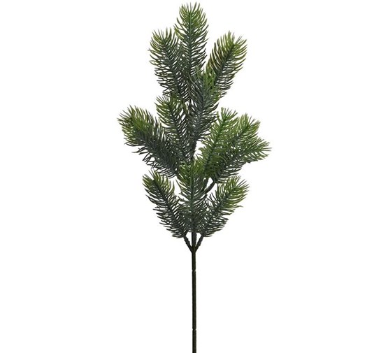                                                                      pure-royal-pine-pick-x-13-green