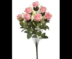 pure royal rose bud x9 bush pink