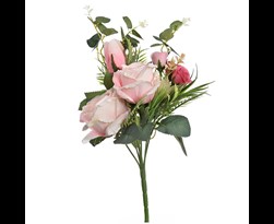 pure royal rose bush cream pink
