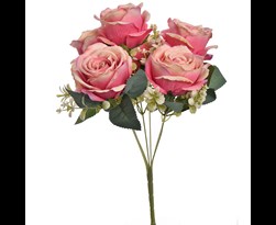 pure royal rose bush pink