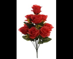 pure royal rose bush x10 red